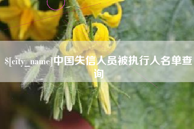 潮州中国失信人员被执行人名单查询
