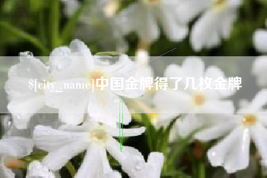 潮州中国金牌得了几枚金牌
