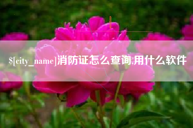 潮州消防证怎么查询,用什么软件