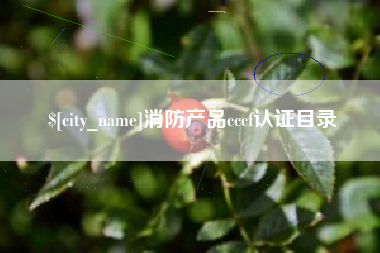 潮州消防产品cccf认证目录
