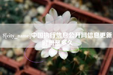 潮州中国执行信息公开网信息更新时间是多久