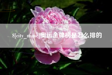 潮州奥运金牌榜是怎么排的