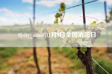潮州11月9日全国消防日