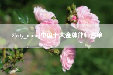 潮州中国十大金牌律师名单