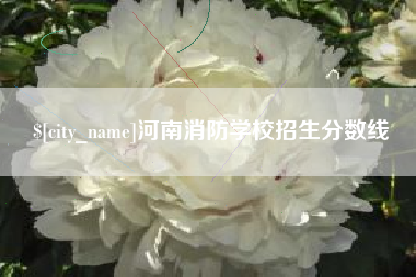 潮州河南消防学校招生分数线