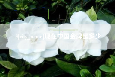 潮州现在中国金牌是多少