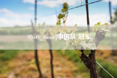 潮州中国队 冠军