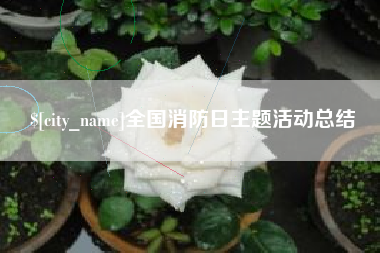 潮州全国消防日主题活动总结