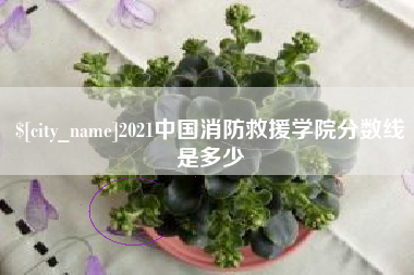 潮州2021中国消防救援学院分数线是多少