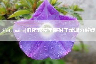 潮州消防救援学院招生录取分数线