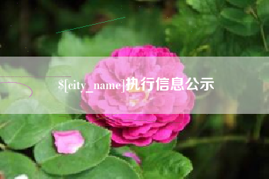 潮州执行信息公示
