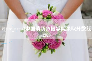 潮州中国消防救援学院录取分数线2020