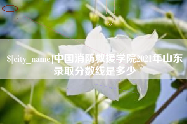 潮州中国消防救援学院2021年山东录取分数线是多少