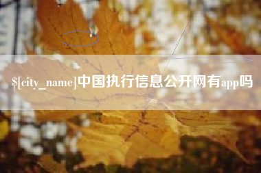 潮州中国执行信息公开网有app吗
