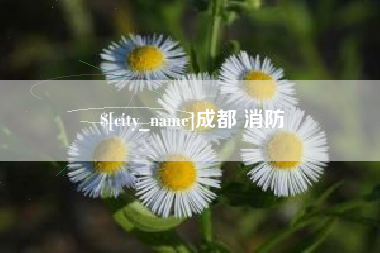 潮州成都 消防