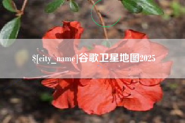 潮州谷歌卫星地图2025