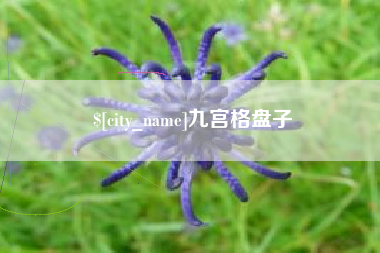 潮州九宫格盘子