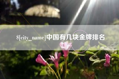 潮州中国有几块金牌排名