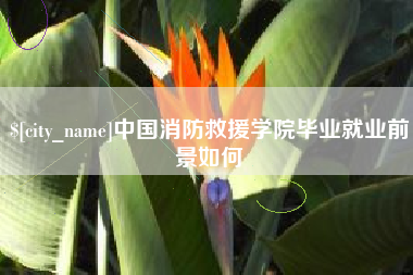 潮州中国消防救援学院毕业就业前景如何