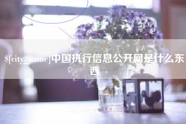 潮州中国执行信息公开网是什么东西