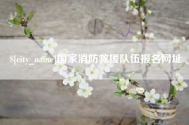 潮州国家消防救援队伍报名网址