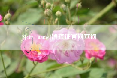 潮州消控证官网查询