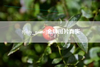 潮州金牌图片真实