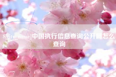 潮州中国执行信息查询公开网怎么查询