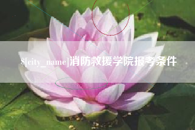 潮州消防救援学院报考条件