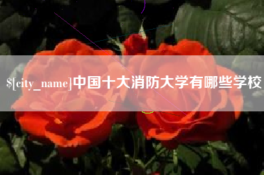 潮州中国十大消防大学有哪些学校