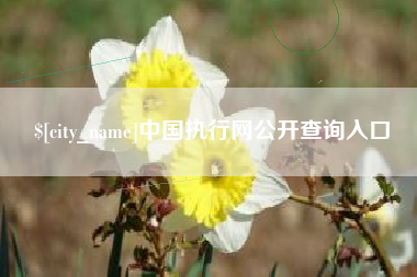 潮州中国执行网公开查询入口