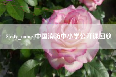 潮州中国消防中小学公开课回放