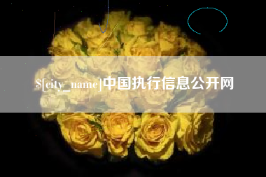 潮州中国执行信息公开网
