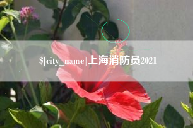 潮州上海消防员2021