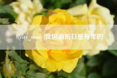 潮州我国消防日是每年的