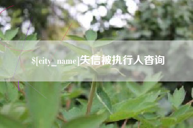 潮州失信被执行人杳询