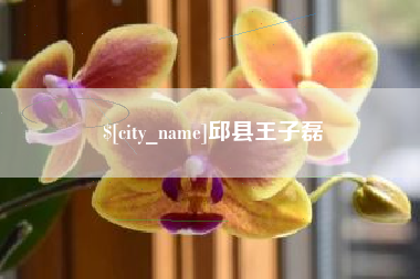 潮州邱县王子磊