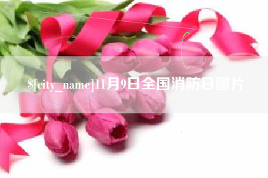 潮州11月9日全国消防日图片