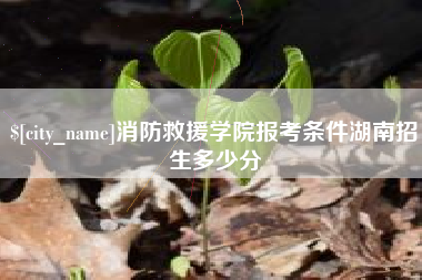 潮州消防救援学院报考条件湖南招生多少分