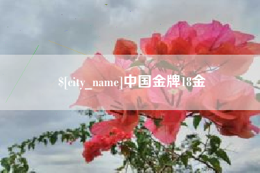 潮州中国金牌18金