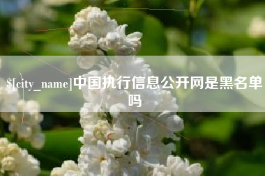 潮州中国执行信息公开网是黑名单吗