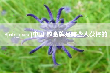 潮州中国6枚金牌是哪些人获得的