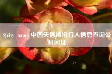 潮州中国失信被执行人信息查询公开网址