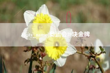 潮州奥运会39块金牌