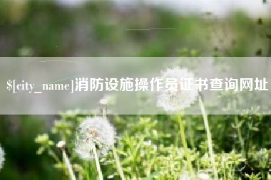 潮州消防设施操作员证书查询网址