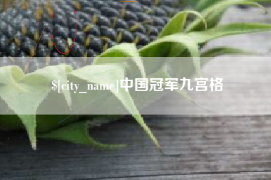 潮州中国冠军九宫格