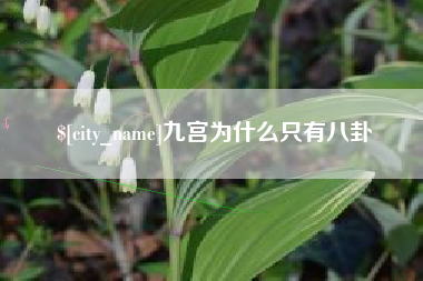潮州九宫为什么只有八卦