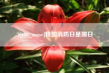 潮州我国消防日是哪日