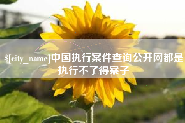 潮州中国执行案件查询公开网都是执行不了得案子