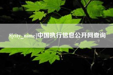 潮州中国执行信息公开网查询